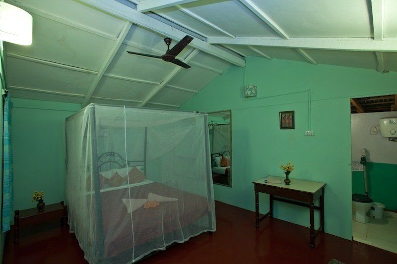 Bed and Breakfast Cuba Agonda Esterno foto